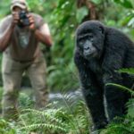 Gorilla Trekking: What to Expect