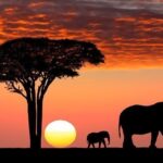 Beyond Gorillas, What else in Uganda?