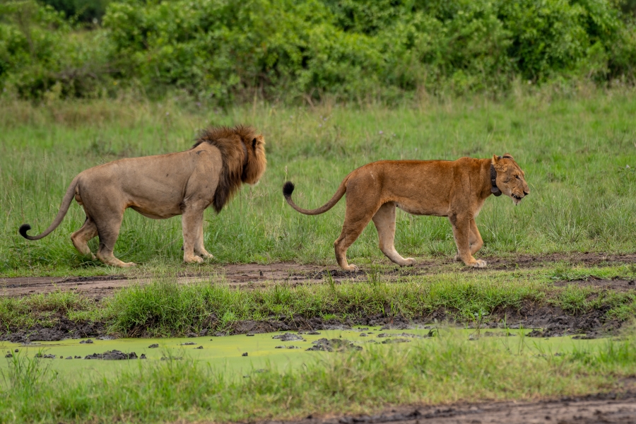 Best Africa Trips