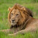 Queen Elizabeth National Park