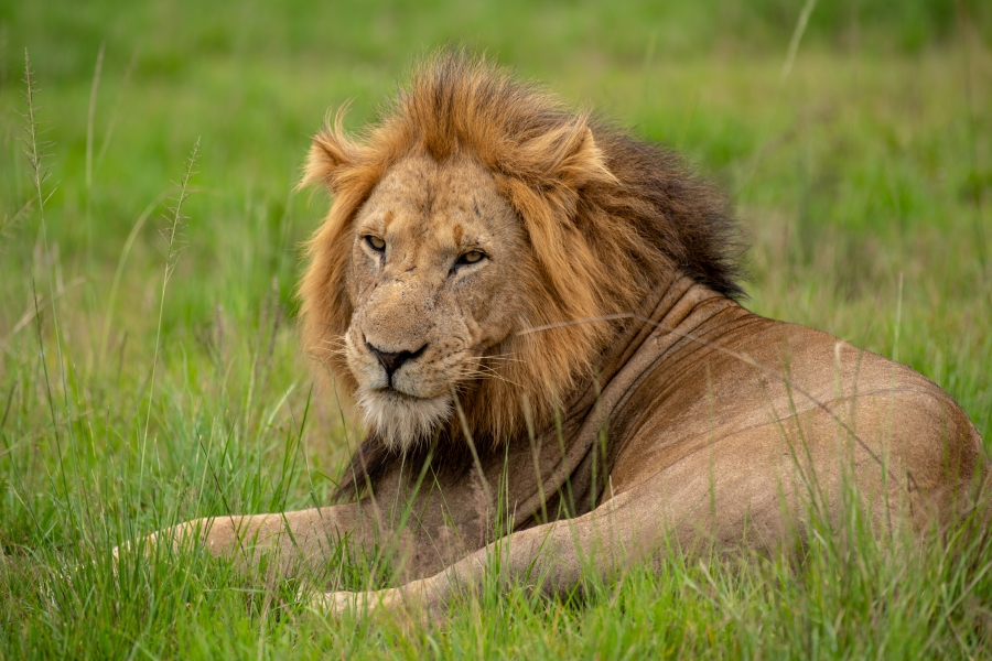 Queen Elizabeth National Park